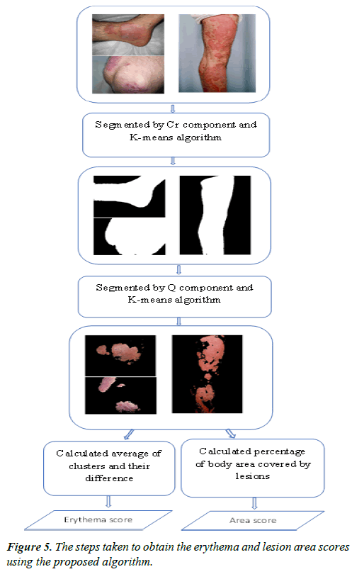 dermatology-research-skin-care-erythema