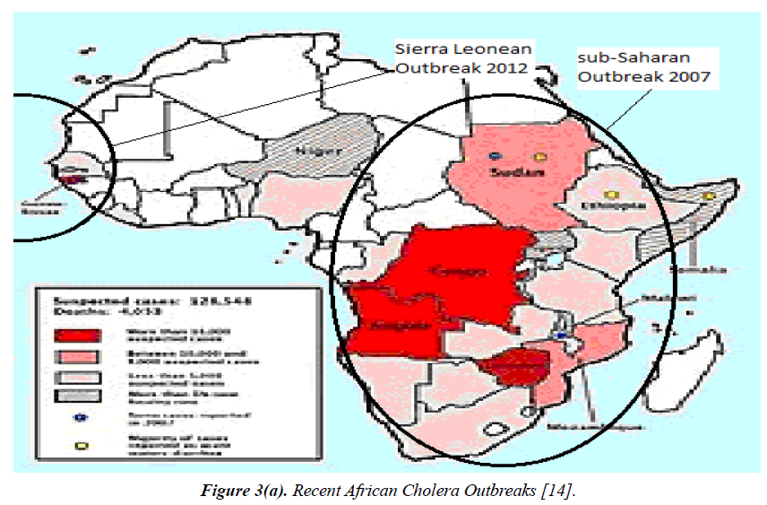 environmental-African-Cholera-Outbreaks