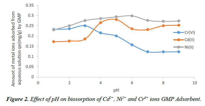 environmental-GMP-Adsorbent