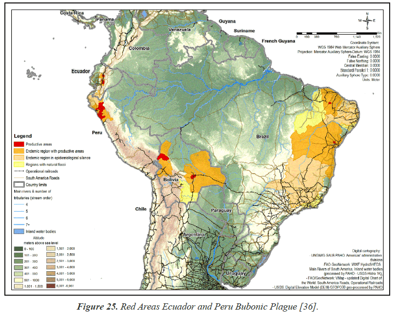 environmental-Peru-Bubonic-Plague