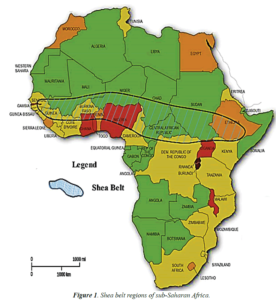 environmental-Shea-belt-regions