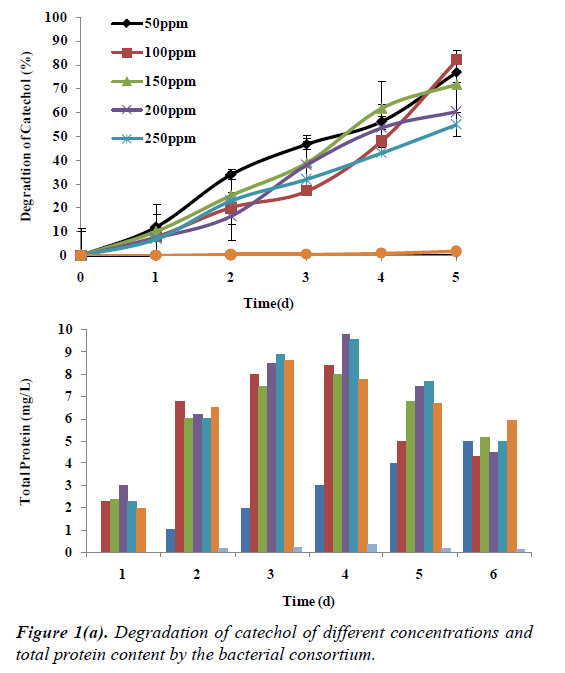 environmental-risk-assessment-Degradation-catechol