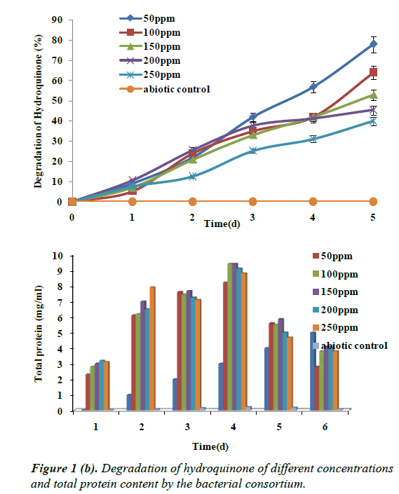 environmental-risk-assessment-Degradation-hydroquinone