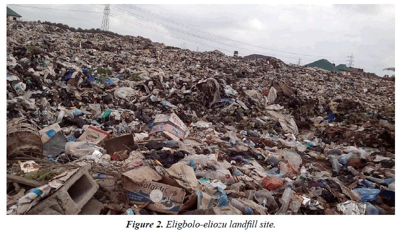 environmental-risk-assessment-Eligbolo-eliozu-landfill