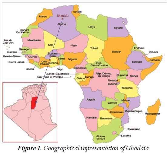 environmental-risk-assessment-Geographical