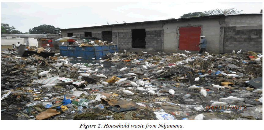 environmental-risk-assessment-Household-waste