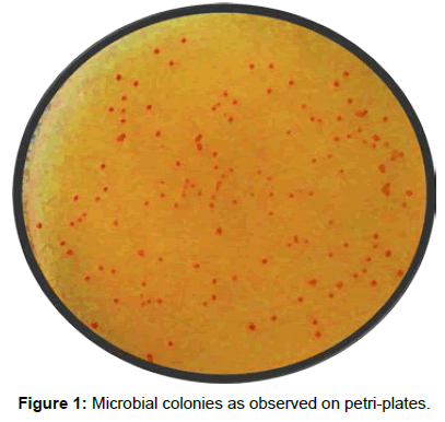 environmental-risk-assessment-Microbial-colonies