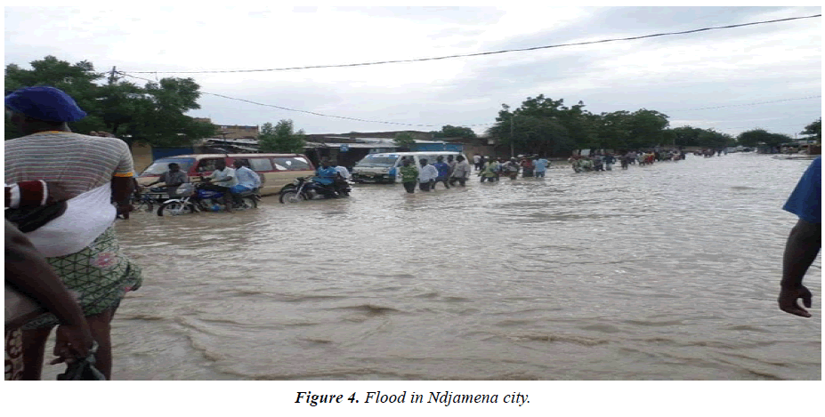 environmental-risk-assessment-Ndjamena-city