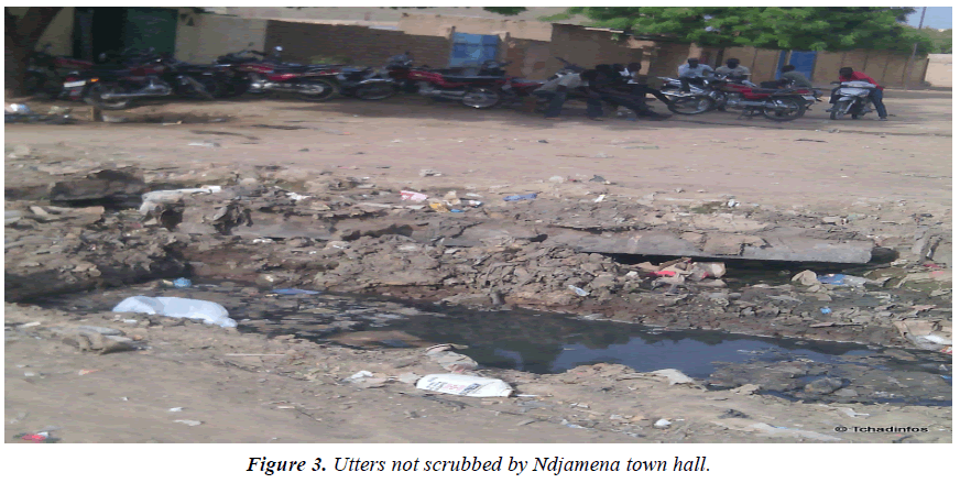 environmental-risk-assessment-Ndjamena-town