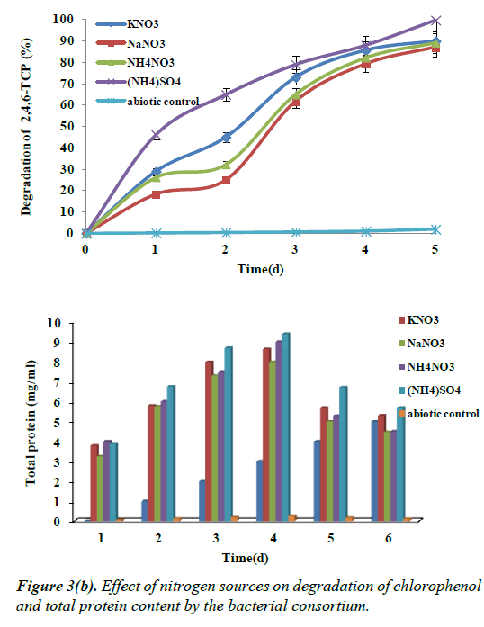 environmental-risk-assessment-bacterial-consortium