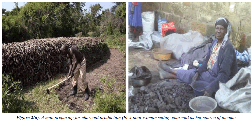 environmental-risk-assessment-charcoal-production