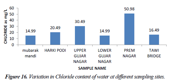 environmental-risk-assessment-remediation-Chloride-content