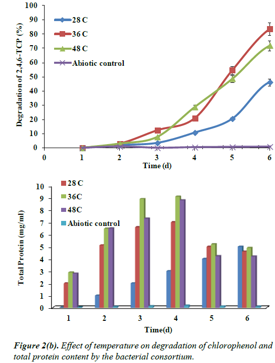 environmental-risk-assessment-temperature-degradation-chlorophenol