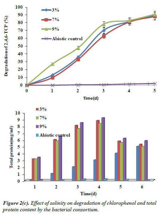 environmental-risk-assessment-temperature-salinity-degradation-chlorophenol