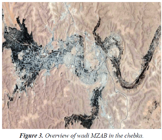 environmental-risk-assessment-wadi-MZAB