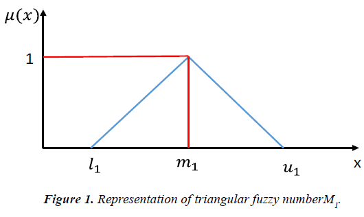 environmental-triangular-fuzzy