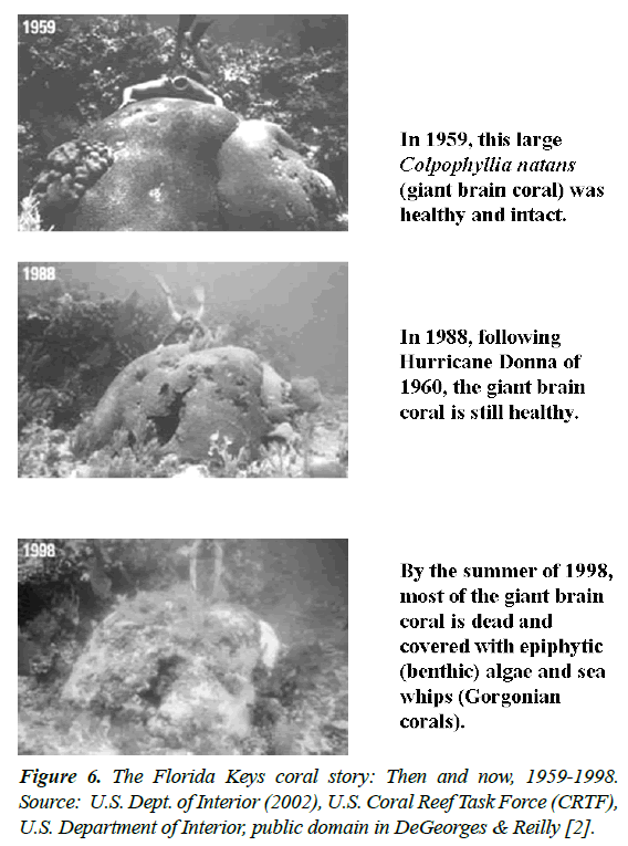 fisheries-research-Coral-Task