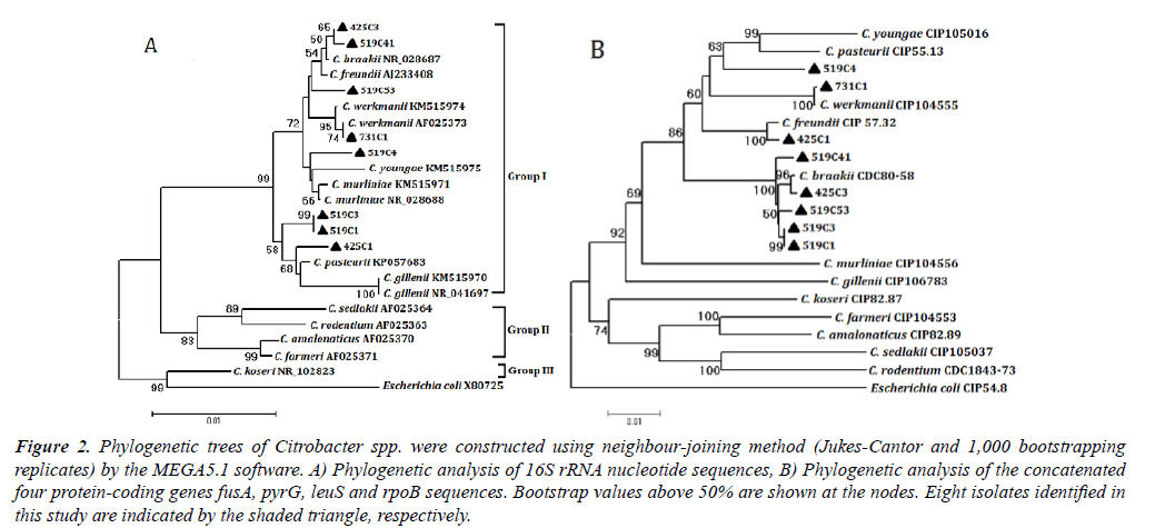 fisheries-research-Phylogenetic-trees