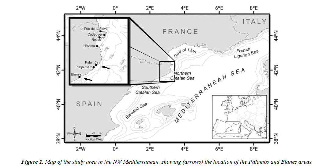 fisheries-research-showing-arrows