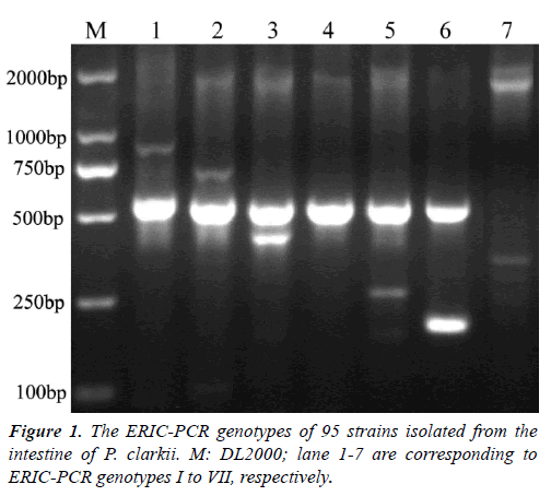 fisheries-research-strains-isolated