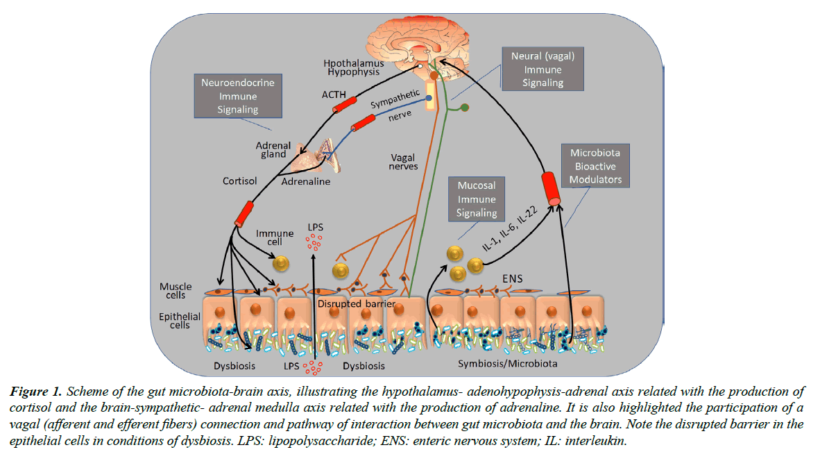 food-microbiology-microbiota-brain