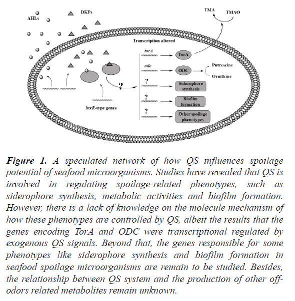 food-microbiology-seafood-microorganisms