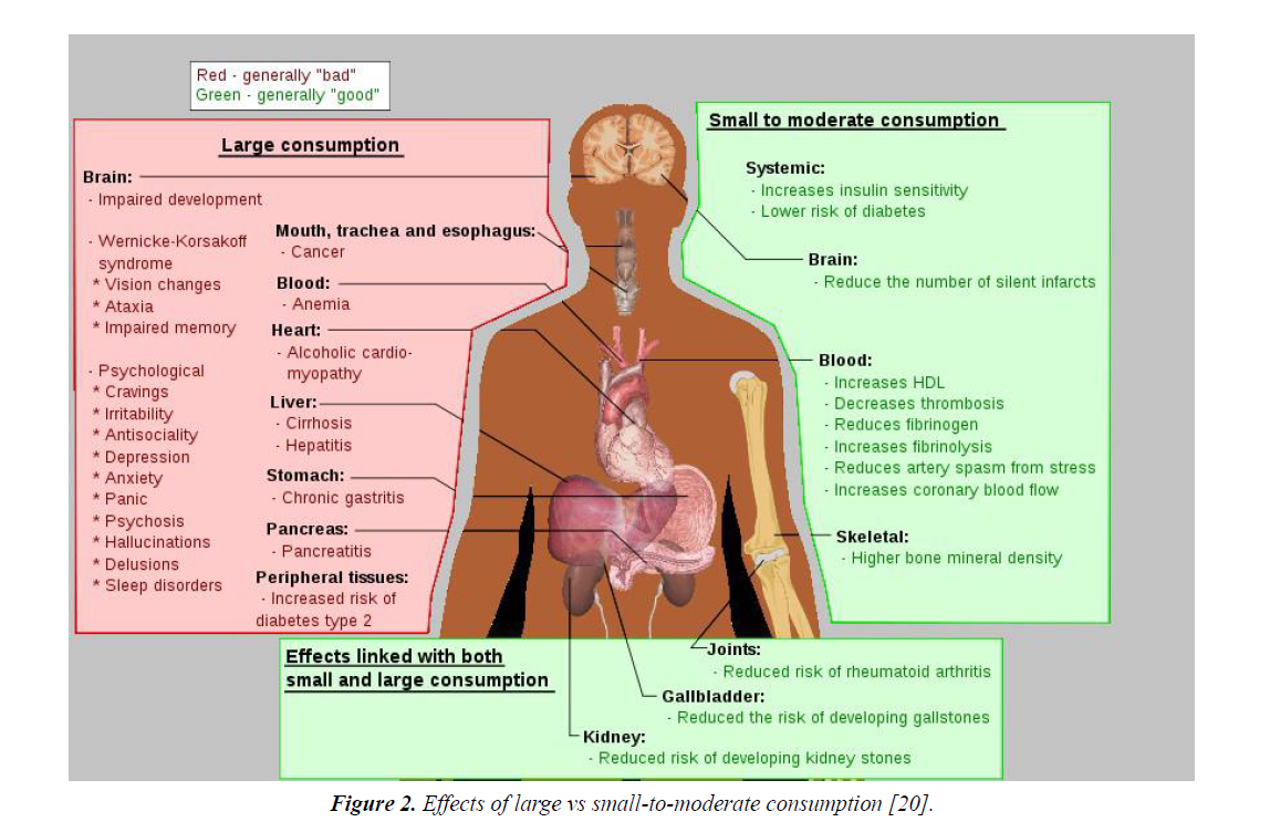 food-science-nutrition-small-to-moderate