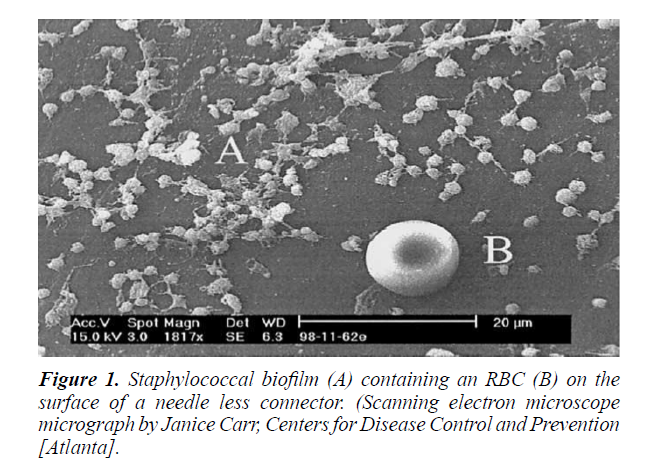 food-science-nutrition-staphylococcal-biofilm