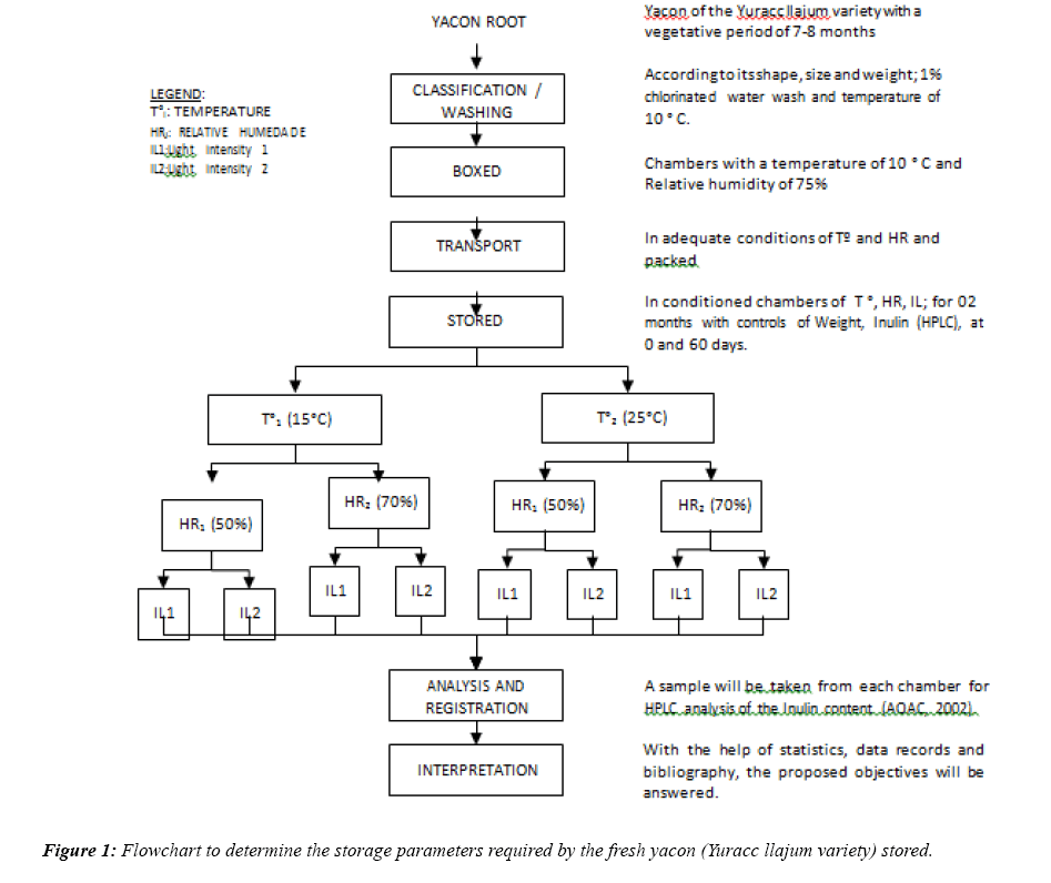 food-technology-and-preservation-determine