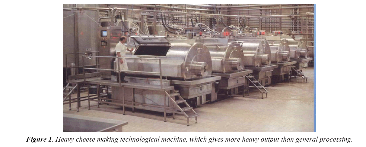 food-technology-cheese-making