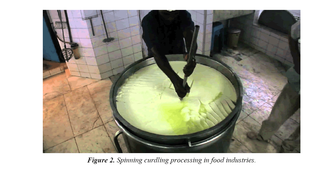 food-technology-curdling-processing