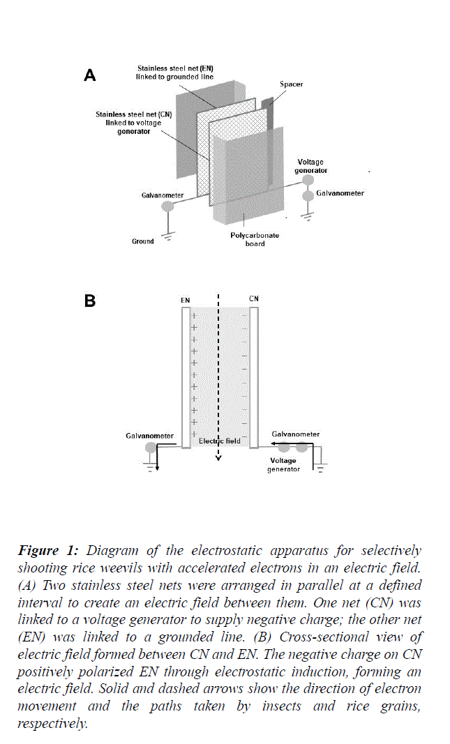 food-technology-electrostatic-apparatus