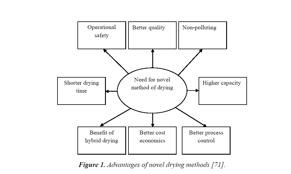 food-technology-novel-drying