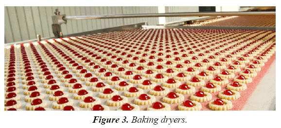 food-technology-preservation-bakingdryers