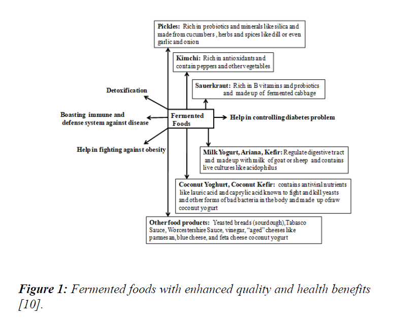 food-technology-preservation-fermented-foods