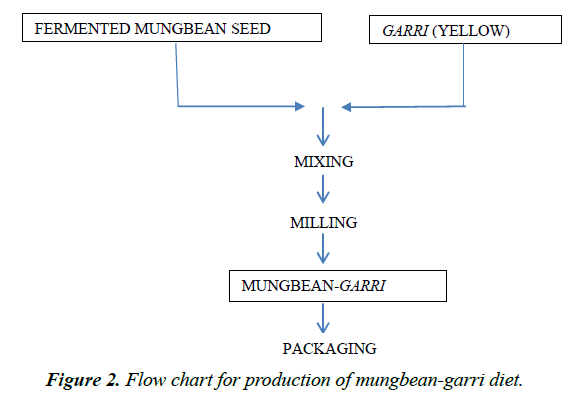 food-technology-preservation-mungbean-garri