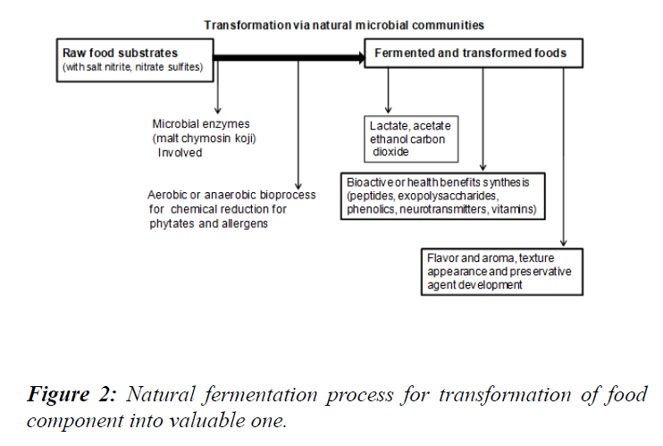 food-technology-preservation-natural-fermentation