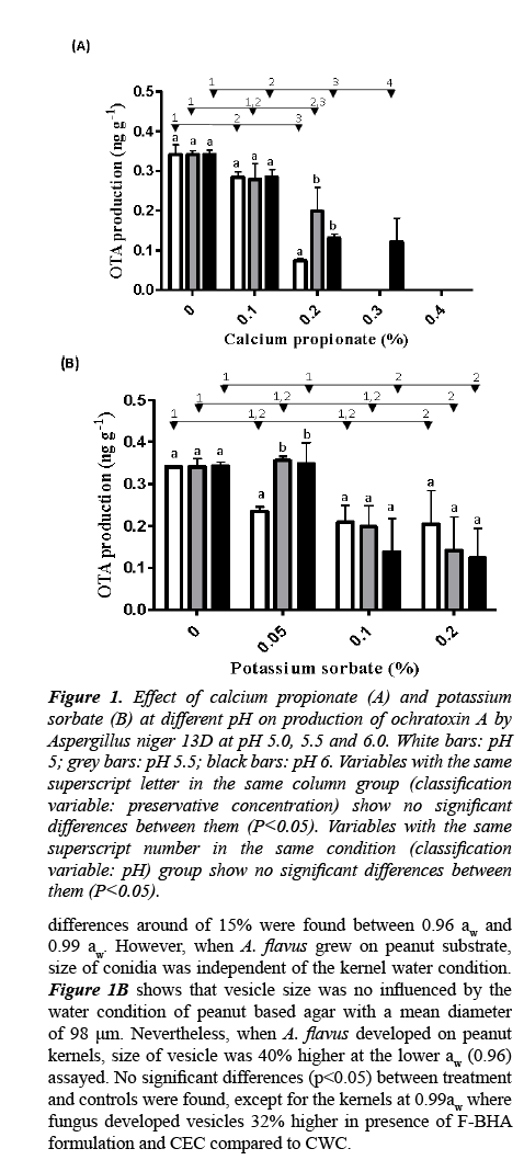 food-technology-production-of-ochratoxin