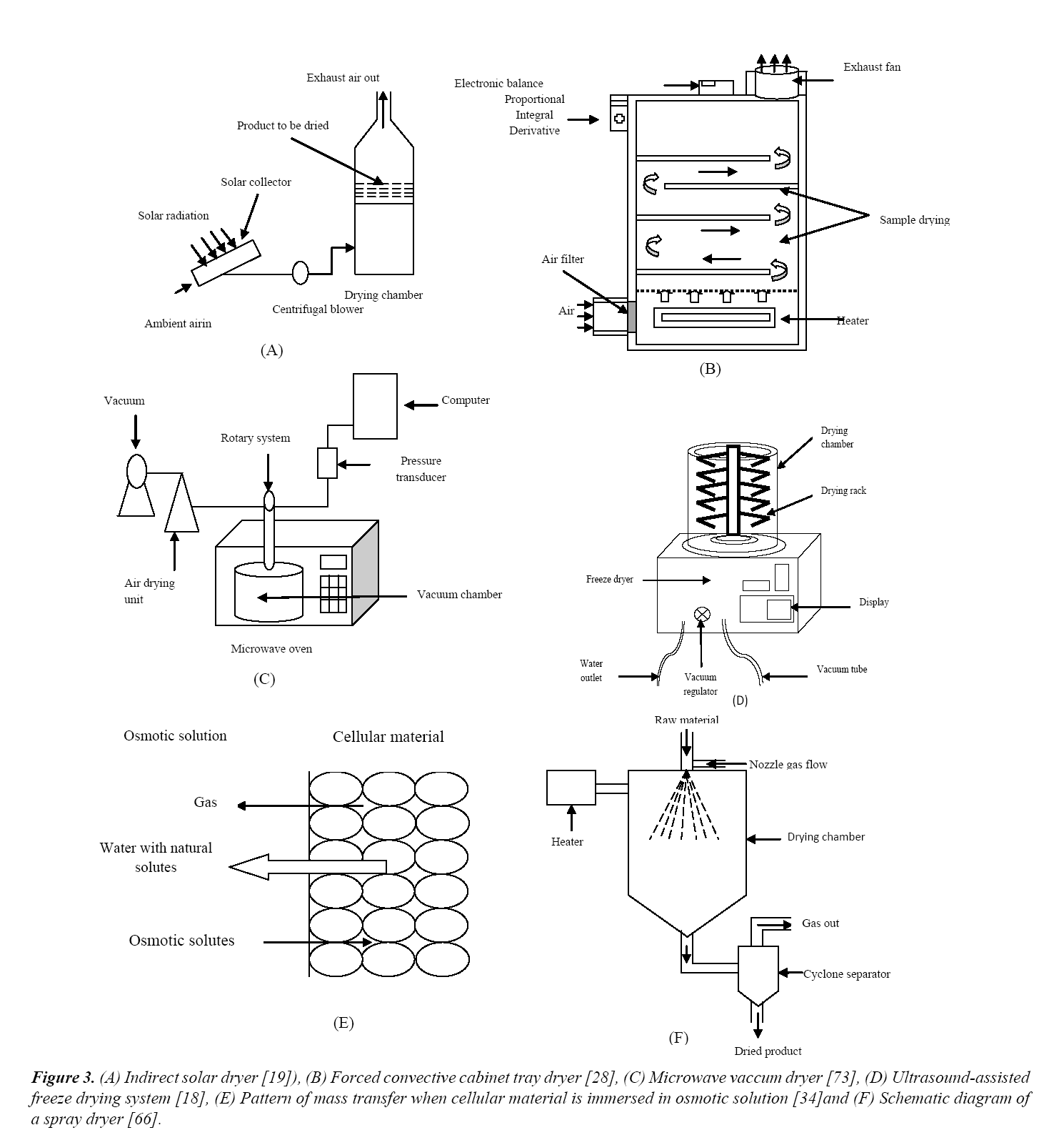 food-technology-solar-dryer