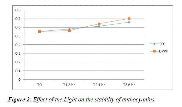 food-technology-stability-anthocyanins