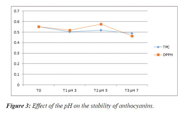 food-technology-stability-anthocyanins