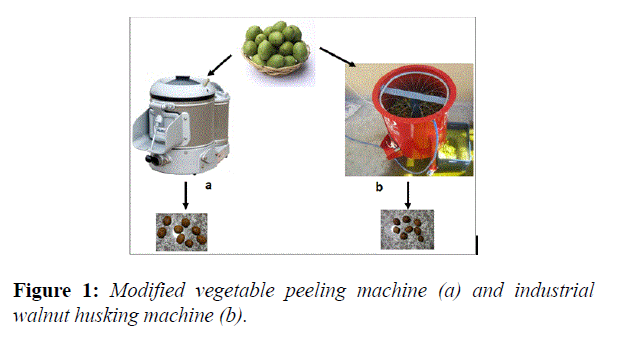 food-technology-vegetable-peeling-machine