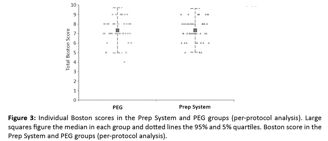 gastroenterology-and-digestive-diseases-Individual-Boston-scores