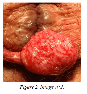 gastroenterology-digestive-Image