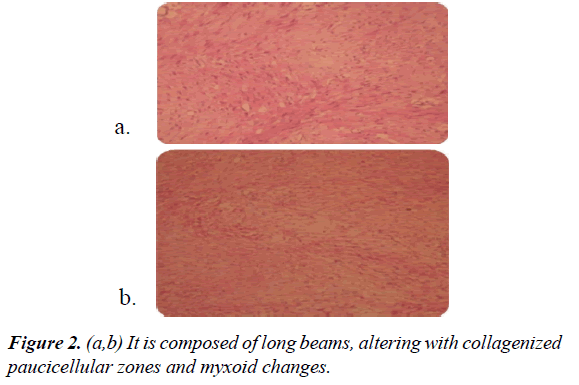 gastroenterology-digestive-diseases-long-beams