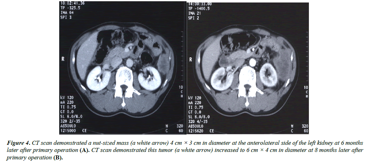 gastroenterology-digestive-diseases-nut-sized