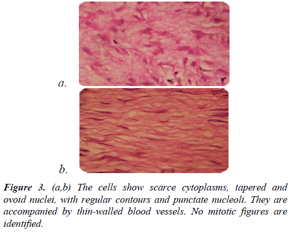 gastroenterology-digestive-diseases-scarce-cytoplasms