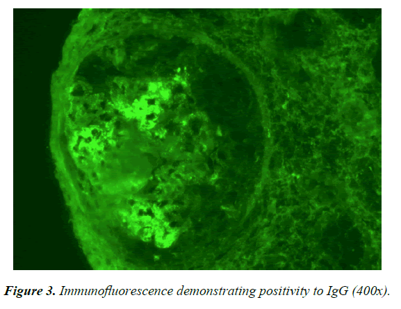 general-internal-medicine-demonstrating-positivity