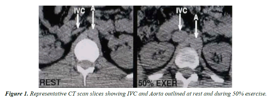 general-internal-medicine-scan-slices