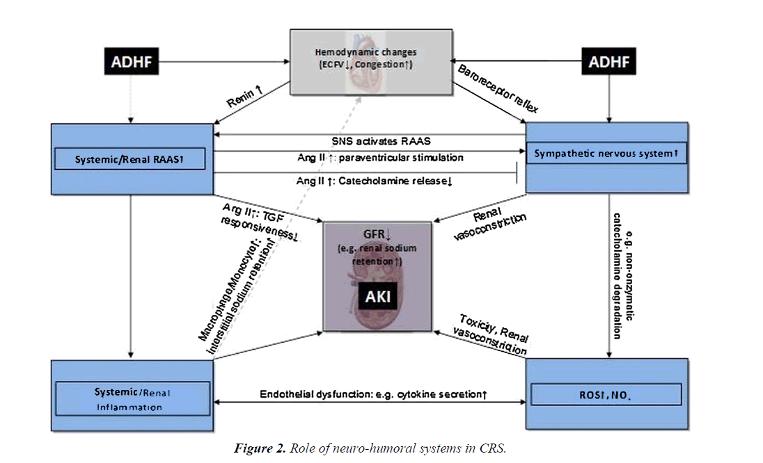 general-internal-medicine-systems